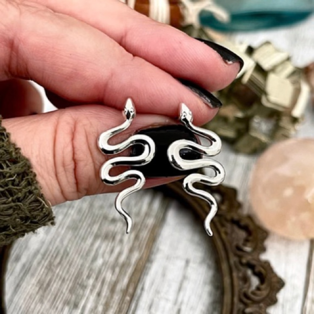 NWT Silver Snake Earrings